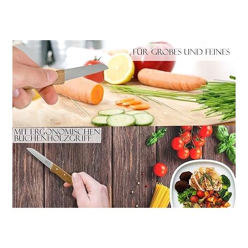  Solingen Kitchen Knives, Vegetable Knives, Set of 4, Made in Germany, Paring Knives with Real Wood Handle Made of Beech, Universal Knife, Utility Knife with Sharp Rustproof Knife Blade Including Case