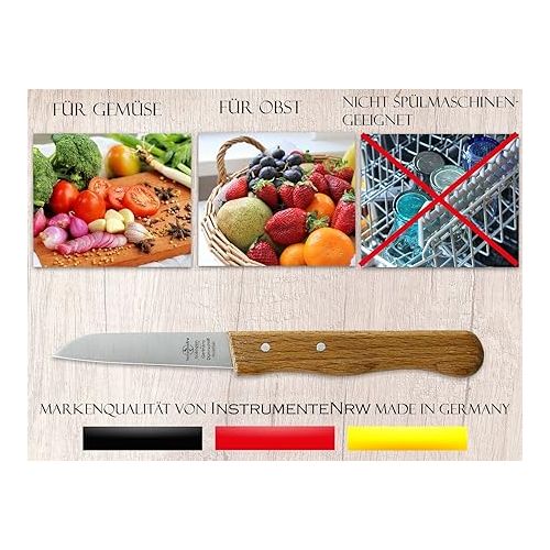  Solingen Kitchen Knives, Vegetable Knives, Set of 4, Made in Germany, Paring Knives with Real Wood Handle Made of Beech, Universal Knife, Utility Knife with Sharp Rustproof Knife Blade Including Case