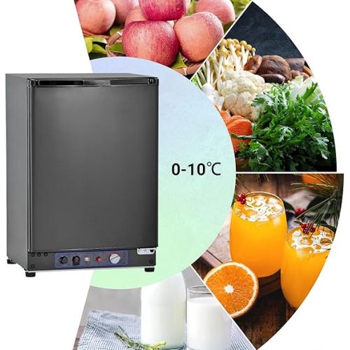  Techomey Camping Fridge Gas 60 L, Fridge Gas 12 V 230 V, Quiet Absorber Fridge Gas, Caravan Fridge for Motorhome, Caravan, Travel and Outdoor, Reversible Door, Black