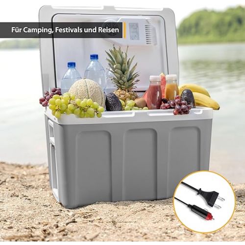  TZS First Austria - 40 litre cool box with wheels, to keep food warm or cold. Thermo-electric cooling box 12V and 230 Volt, mini fridge / insulated box for car, boat, camping. Energy efficiency class A++ with Eco mode.