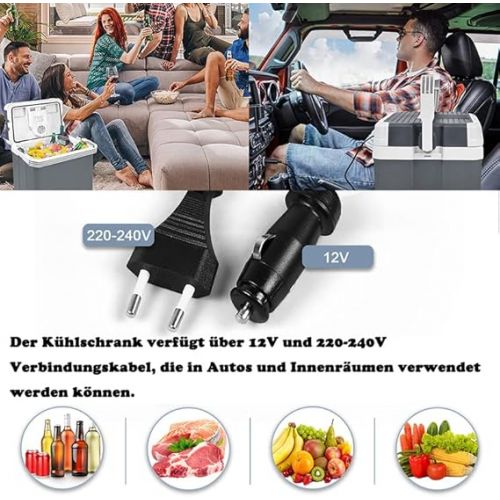  YUENFONG 30 L Cool Box Electric Fridge with Wheels Electric Cool Box Car Cool Box 12 V 230 V with Cooling and Warming Function for Travel, Car, Camping (30 L)