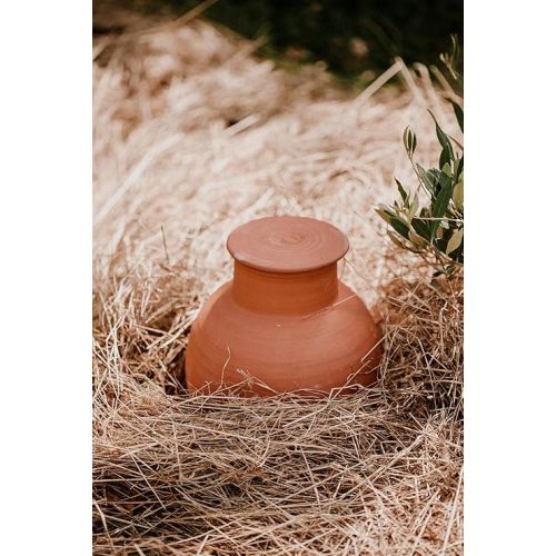  OLLAS LUTTON Garden for Burying | Clay Irrigation System / Olla | Self-Regulating | Close to Root Watering, Terracotta Irrigation Balls 8 L