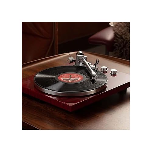  1 by ONE Belt Drive Turntable with Bluetooth Connectivity, Built-in Phono Pre-amp, USB Digital Output Vinyl Stereo Record Player with Magnetic Cartridge, 33 or 45 RPM