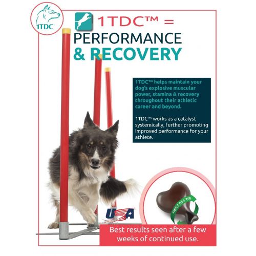  1-TDC Dual Action Natural Support  Twist Off Soft Gels | Delivers 4 Major Health Benefits for Dogs & Cats | Supports Oral Health, Hip & Joint Health, Muscle & Stamina Recovery, Sk