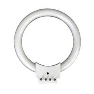 12W Fluorescent Ring Light Bulb by AmScope