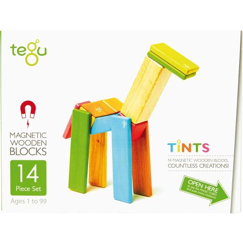  14 Piece Tegu Magnetic Wooden Block Set, Tints