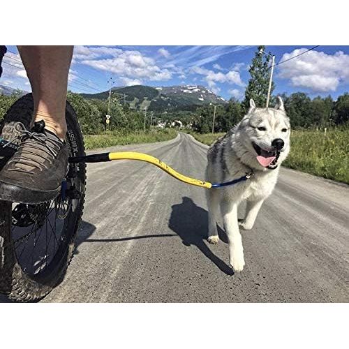  Bike Tow Leash Dog Bicycle Attachment