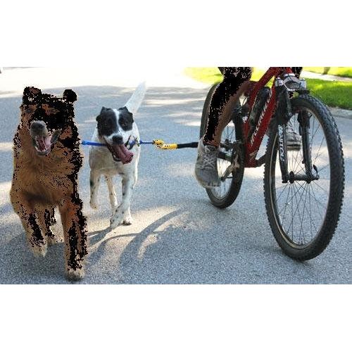  Bike Tow Leash Dog Bicycle Attachment