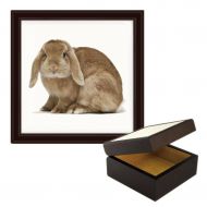 /1StopShops Lop Ear Bunny Image Wooden Jewellery Trinket Box 125mm x 125mm x 70mm