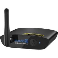 [아마존베스트]1mii Lavaudio HiFi Bluetooth 5.0 Music Receiver for Home Stereo Long Range Bluetooth Audio Adapter with Audiophile DAC, aptX HD & LDAC for AV Receiver or Stereo Amplifier - DS200Pro