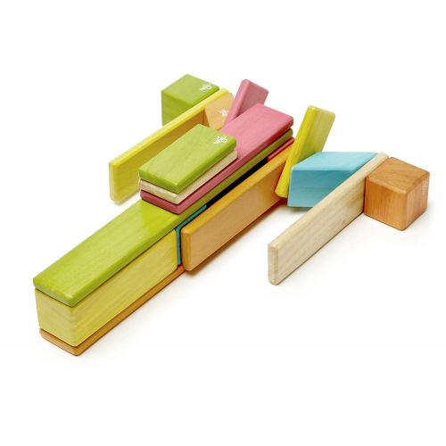  24 Piece Tegu Magnetic Wooden Block Set, Tints