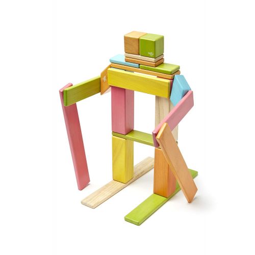  24 Piece Tegu Magnetic Wooden Block Set, Tints