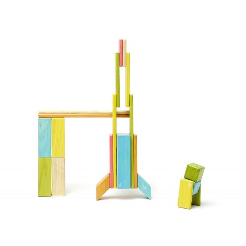  24 Piece Tegu Magnetic Wooden Block Set, Tints