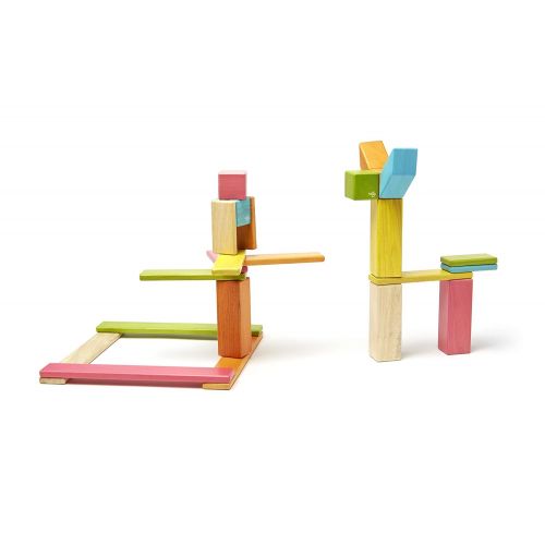  24 Piece Tegu Magnetic Wooden Block Set, Tints