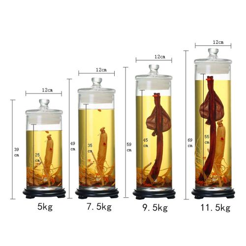  258852 Sektflasche Mit Bleifreier Medizinflasche Mit Dickem Glasglasverschluss (Fassungsvermoegen: 5 Kg / 7,5 Kg / 9,5 Kg / 11,5 Kg) (Size : C)