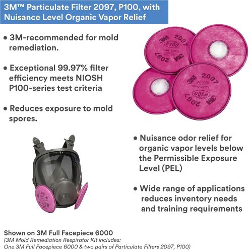 쓰리엠 3M Personal Protective Equipment 3M Mold Remediation Respirator Kit 69097, Large (Includes a 3M Full Facepiece 6000 & two pairs of 3M Particulate Filters 2097, P100)