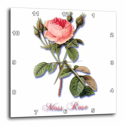  3dRose Medium Pink Moss Rose with Rosebuds Botanical Print, Wall Clock, 10 by 10-inch