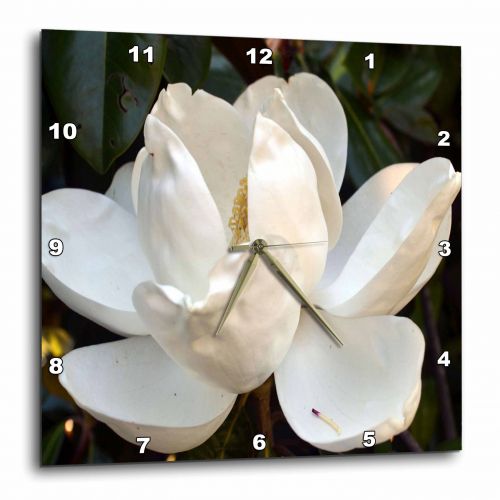  3dRose Georgia Magnolia White Flower, Wall Clock, 15 by 15-inch