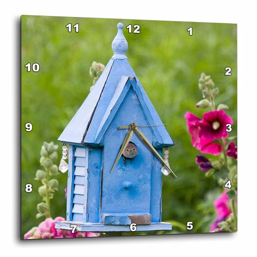  3dRose Illinois, USA - House Wren at blue nest box new Hollyhocks, Wall Clock, 10 by 10-inch