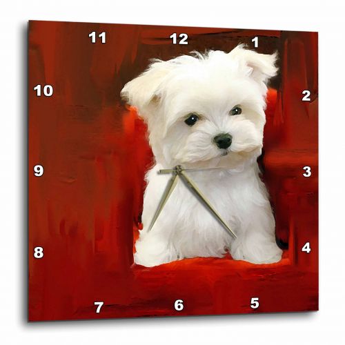  3dRose Maltese Puppy, Wall Clock, 10 by 10-inch