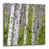 3dRose Grove of aspen trees near East Glacier Montana - US27 CHA0803 - Chuck Haney, Wall Clock, 10 by 10-inch