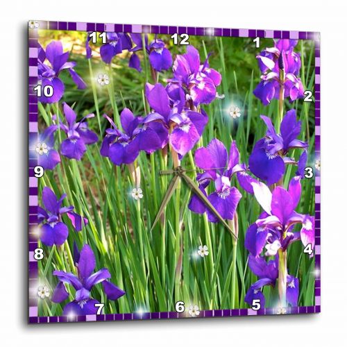  3dRose Dancing Iris, Wall Clock, 10 by 10-inch