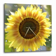 3dRose Pretty Summer Sunflower - Floral Photography, Wall Clock, 10 by 10-inch