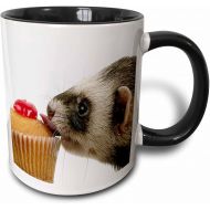 3dRose Ferret Eating Cupcake-Two Tone Black Mug, 11 oz, Multicolored