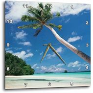 3dRose 3D Rose Palau-Palm Trees Along Tropical Beach Wall Clock, 15 x 15