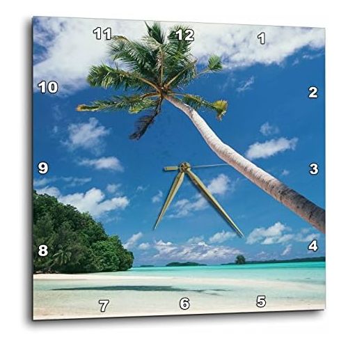  3dRose 3D Rose Palau-Palm Trees Along Tropical Beach Wall Clock, 15 x 15