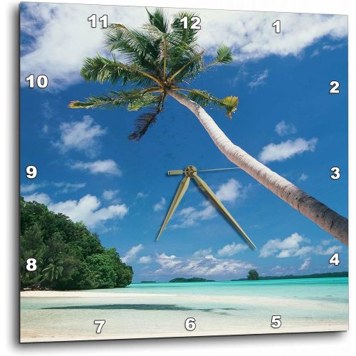  3dRose 3D Rose Palau-Palm Trees Along Tropical Beach Wall Clock, 15 x 15