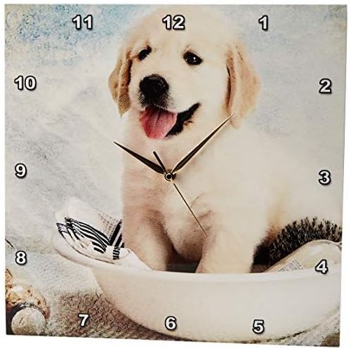  3dRose DPP_172989_3 Cute Golden Retriever Puppy Spa Day Art Photo Courtesy Badestboss. Wall Clock, 15 by 15-Inch