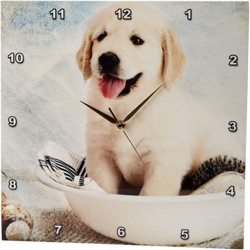  3dRose DPP_172989_3 Cute Golden Retriever Puppy Spa Day Art Photo Courtesy Badestboss. Wall Clock, 15 by 15-Inch