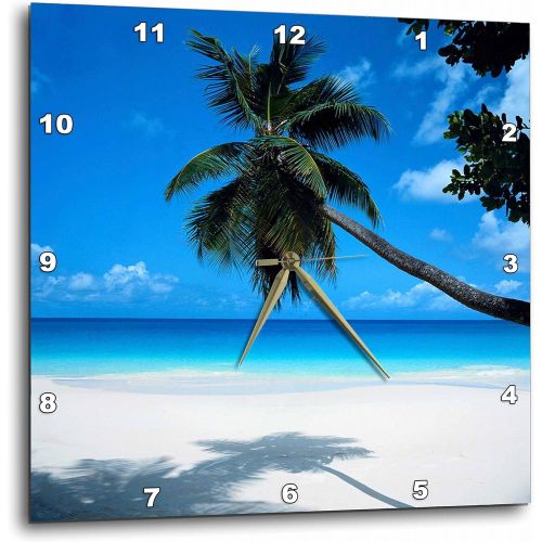  3dRose dpp_50951_3 Tropical Paradise Awaits Wall Clock, 15 by 15-Inch