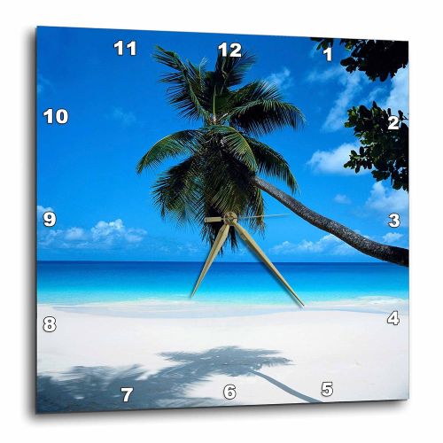  3dRose dpp_50951_3 Tropical Paradise Awaits Wall Clock, 15 by 15-Inch