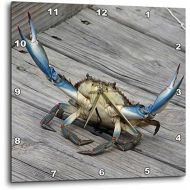 3dRose dpp_63150_3 Blue Crab-Marine, Creature, Animal, Animals, Wildlife, Ocean, Invertebrate, Crab, Seafood-Wall Clock, 15 by 15-Inch