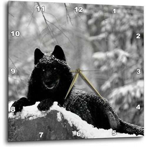  3dRose dpp_100280_3 Rocky Mountain Wolf, Black White-Wall Clock, 15 by 15-Inch