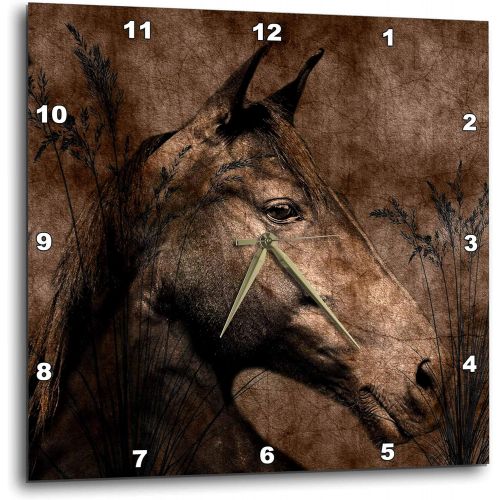  3dRose dpp_127615_3 Horse in The Grass Done in Western Brown Grunge and Charcoal Wall Clock, 15 by 15-Inch