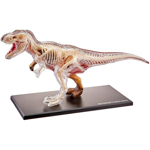  4D Master Famemaster 4D Vision T-Rex Anatomy Model