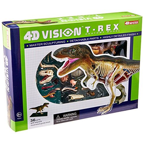  4D Master Famemaster 4D Vision T-Rex Anatomy Model