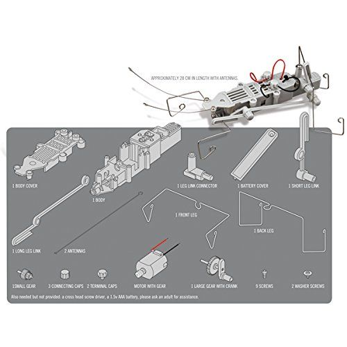  4M Insectoid Robot Science Kit