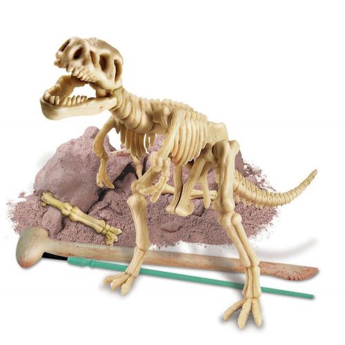  4M Dig A Dino Tyrannosaurus Rex