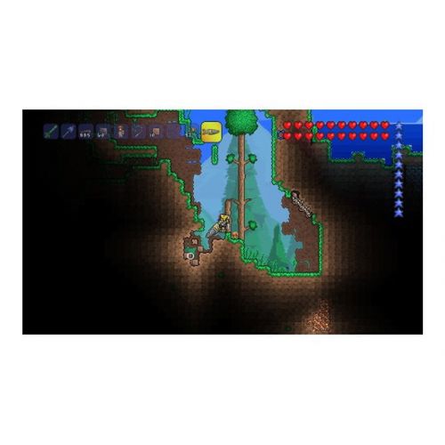  Terraria, 505 Games, Nintendo 3DS, 812872018553