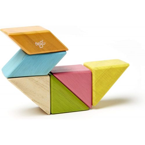  6 Piece Tegu Pocket Pouch Prism Magnetic Wooden Block Set, Tints