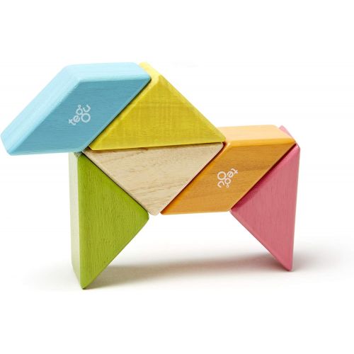  6 Piece Tegu Pocket Pouch Prism Magnetic Wooden Block Set, Tints