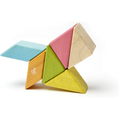  6 Piece Tegu Pocket Pouch Prism Magnetic Wooden Block Set, Tints