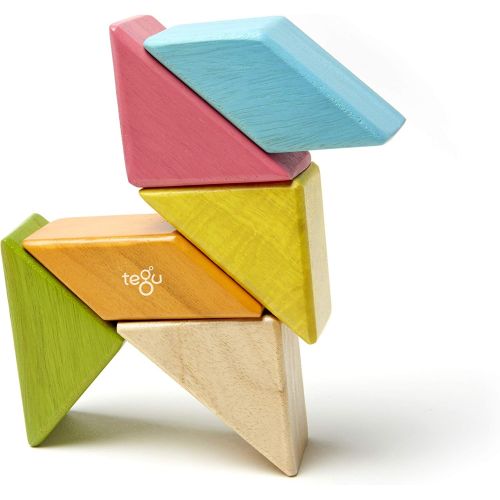  6 Piece Tegu Pocket Pouch Prism Magnetic Wooden Block Set, Tints
