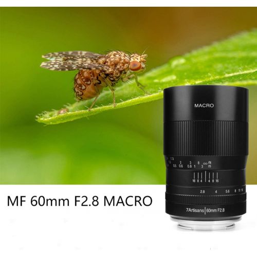  [아마존베스트]7artisans 60mm F2.8 APS-C Manual Focus Macro Lens Widely Fit for Fuji X-A1 X-A10 X-A2 X-A3 A-at X-M1 XM2 X-T1 X-T10 X-T2 X-T20 X-Pro1 X-Pro2 X-E1 X-E2 E-E2s Mirrorless Cameras