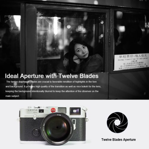  7artisans 50mm F1.1 Fixed Lens for Leica M-Mount Cameras Like Leica M2 M3 M4-2 M5 M6 M7 M8 M9 M10 M4P M9p M240 M240P ME M262 M-M CL -Black