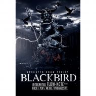 8DIO Productions},description:BLACKBIRD was engineered to perfection by Taylor Larson (Oceanic Studios  Periphery) and contains 10 individual microphone positions for ultimate mix